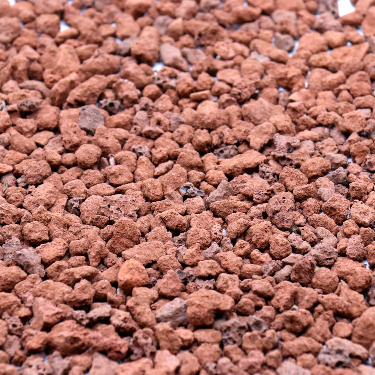 Hardscaping Materials - Premium Pebbles Volcanic Rock for Plants. Red Lava Rock. 1/5 Inch - 2 lbs for Potting Soil, Succulents, Pots, Plants, Gardening, Indoor, Crafting (Mini (0.2 Inch), Horticultural - RED Lava, 2)