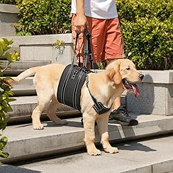 NOYAL Dog Lift Harness Sling - Adjustable Pet