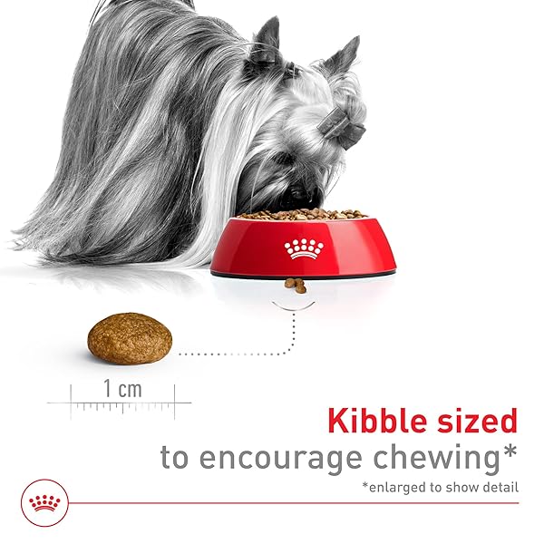 ROYAL CANIN SIZE HEALTH NUTRITION X-SMALL 7+ ADULT DRY DOG FOOD, 2.5 LB BAG