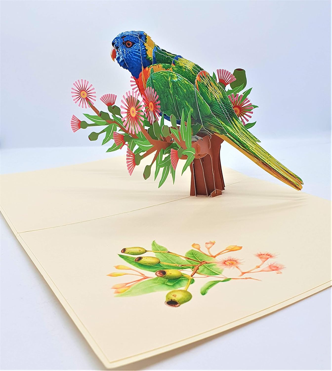 Fete Des Meres Anniversaire De Mariage Demenagement Saint Valentin Fete Des Peres Depart C Worldwide Ltd Fait A La Main 3d Pop Up Card Perroquet Oiseau Joyeux Anniversaire Cartes Et Cartes De Vœux