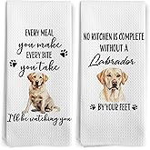 BitKAM Labrador Retriever Gifts Kitchen Towels Set of 2, Yellow Labrador Retriever Gifts for Women Dish Tea Towels, Yellow Lab Gift Hand Towels, Funny Dog Kitchen Decor, 16x24 Inch