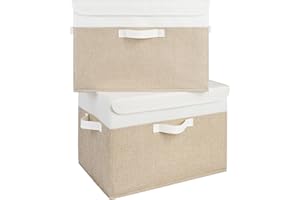 GRANNY SAYS Cloth Storage Bins with Lids, Pack of 2 Fabric Storage Boxes, Closet Organizers and Storage Baskets Storage Organ
