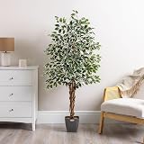 Christow 5ft Artificial Ficus Tree Variegated Leaves Natural Wood Trunk view 2