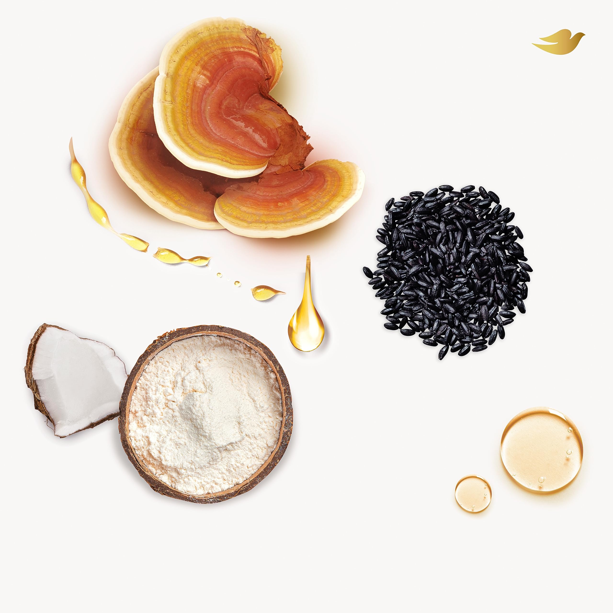 Dove Powered By Nature Smoothing Body Polish Exfoliating With 5 Natural Origin Ingredient Blend For Skin Care 10.5 oz (Pack of 1)