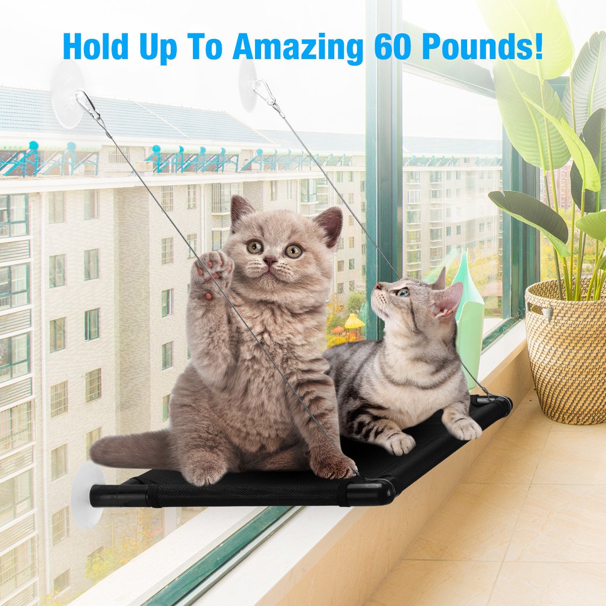 isYoung Cat Window Perch, Mounted Cat Sunshine seat Pet Hammock Kitty Bed Perch Cushion with 4 Ultra Heavy Duty Suction Cups Cat Bed Holds Up To 60lbs