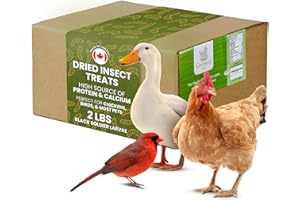Dried Black Soldier Fly Larvae Chicken Treats for Hens, Duck, Wild Birds, Lizard, Tortoise, Fish - All Natural High Protein D