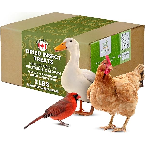 Sanders Perry Make off R 65g ×9個(1個〜購入可) ZippyPaws Burrow - Fried Chicken| Buy at Homesalive.ca