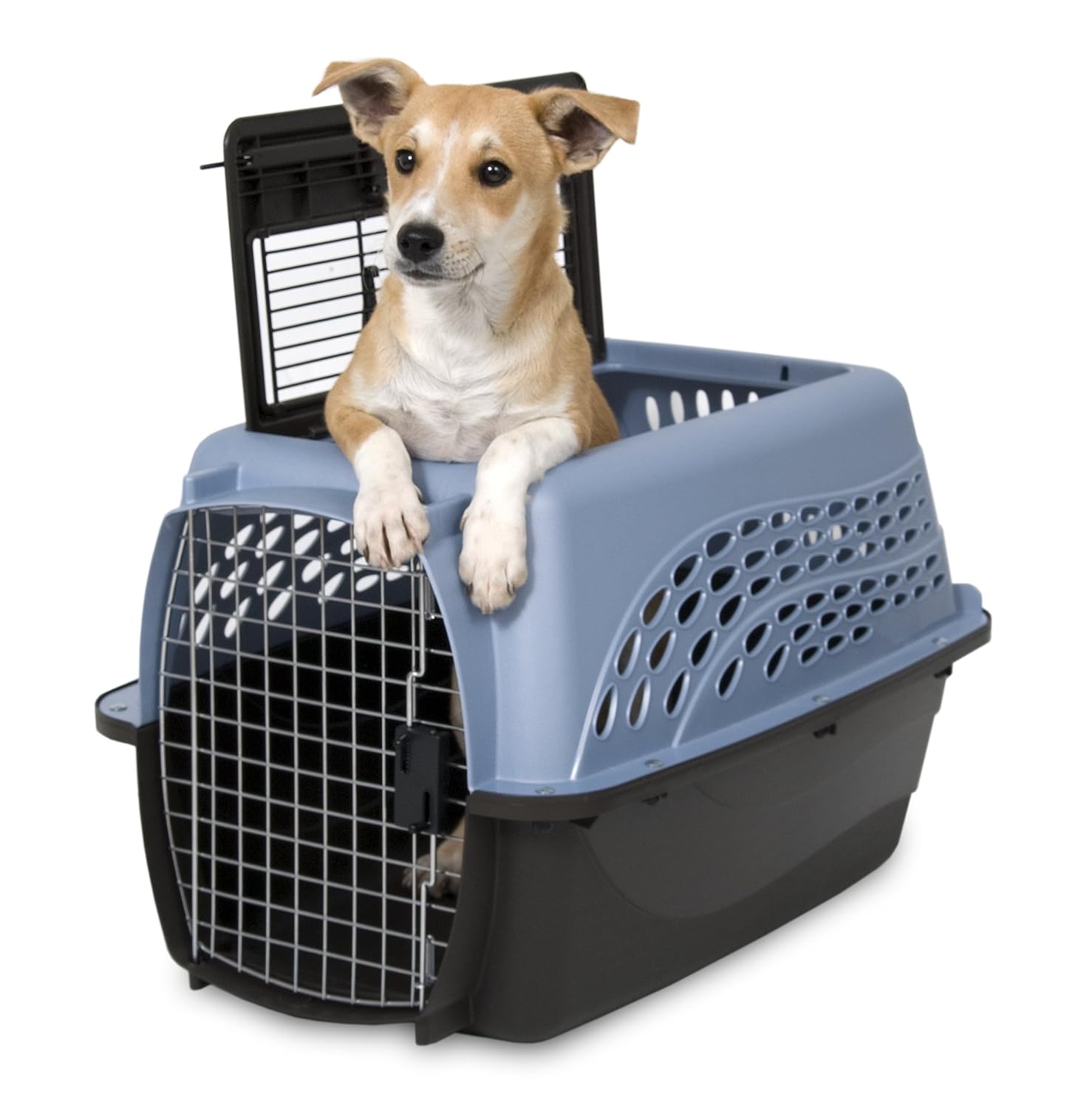 Petmate Two Door Top Load 24Inch Pet Kennel, Dog and Cat Carrier Crate