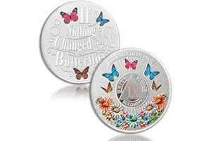 YRCKUDZKG Colorful Sunflower 9 Year Sobriety Coin Butterfly Nine Year Sobriety Chip Courage to Change AA Chips and Medallion Silver AA Coin Recovery Anniversary Token Sobriety Gifts for Men Women