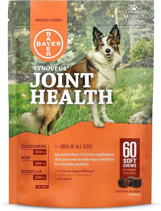 older dog joint supplement