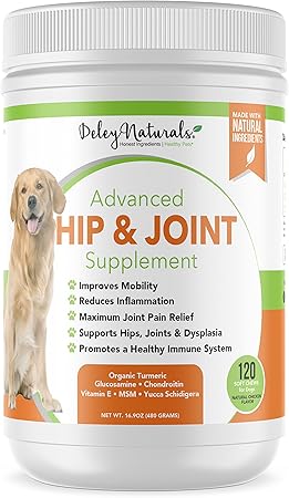 dog hip and joint pain relief