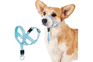 DOMIGLOW No-Pull Dog Headcollar - Reflective Halter Collar for Dogs, Padded Head Collar to Stop Heavy Pulling, Anti-Pull Muzzle Leash (Blue, Small)