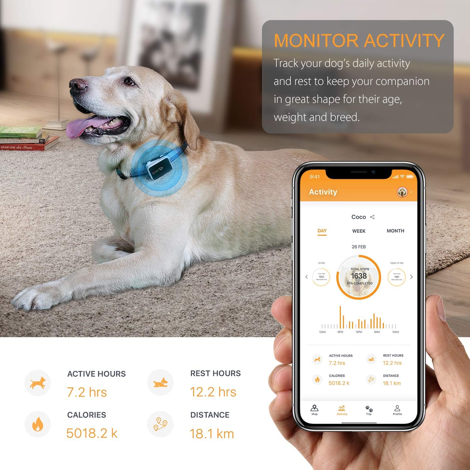 Pawfit gps tracker Clearance