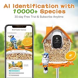 birdsnap® MON - Smart Bird Feeder with Camera, 2K
