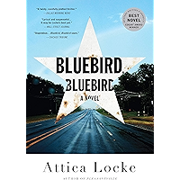 Bluebird, Bluebird (A Highway 59 Novel Book 1) book cover