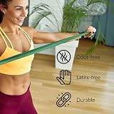 Theraband Resistance Bands Set Professional Latex-Free Upper Lower Body Exercise view 6