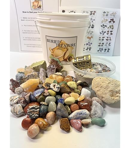 1 Gallon Fossil Mining Bucket - Educational Fossil Dig Kit With Crackable Geode