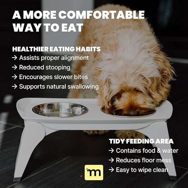 MALSIPREE ELEVATED DOG BOWLS FOR SMALL DOGS – 6.5″ RAISED DOG BOWL STAND WITH SPLASH GUARD – PORTABLE FOLDING PET FEEDING STATION WITH 2 STAINLESS STEEL BOWLS – TRAVEL ROAD TRIP FOLDABLE COLLAPSIBLE