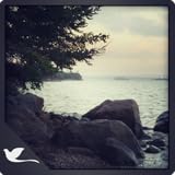 Seashore Meditation - A Relaxing Seaside View