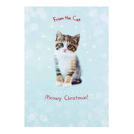 Hallmark RSPCA from Cat Christmas Card 'Meowy Christmas!' Medium