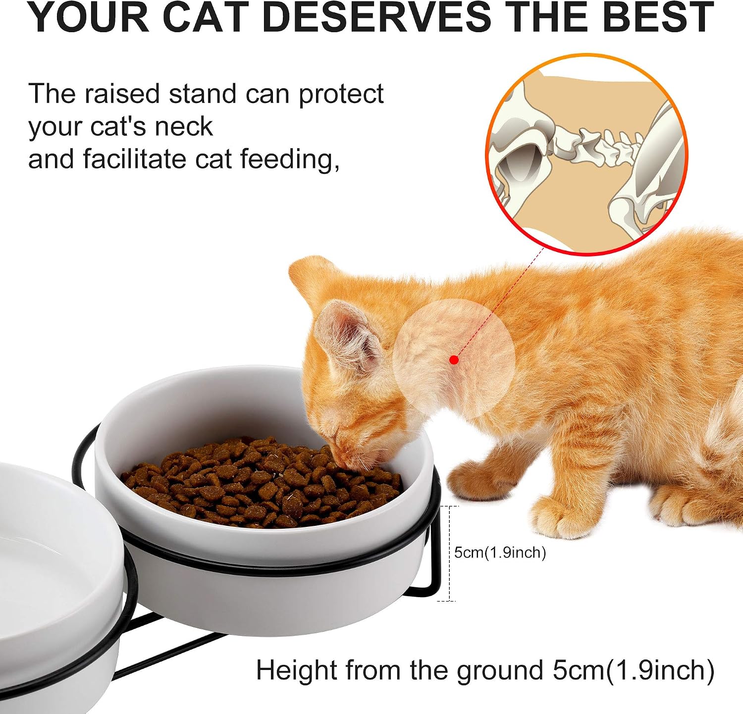PETTOM Raised Cat Bowls Ceramic Double Cat Food and Water Bowl Set including Steel Stands for Cats and Small Dogs - Image 4