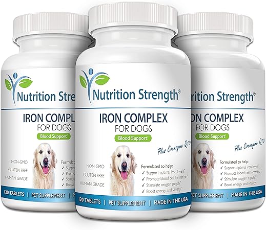 best iron supplement for dogs