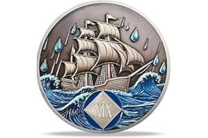 DEDECOML NA Sobriety Coin - NA Medallions with Sailing Ship and Ocean Sobriety Chips NA Coins - Ideal Narcotics Anonymous Gifts for Men ＆ Women Celebrating Recovery and Living Clean (19 Year)