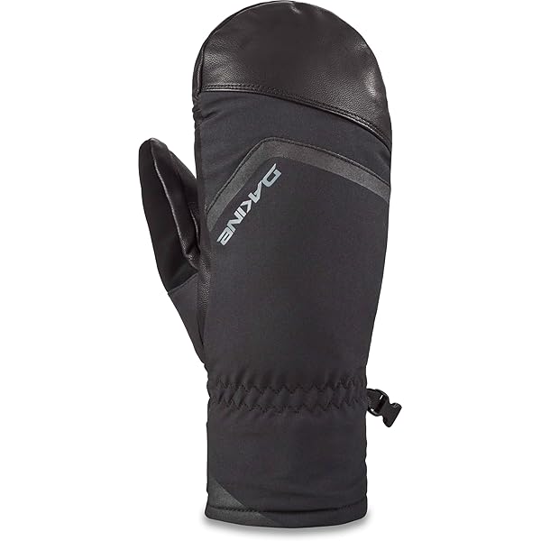 Amazon.com : Dakine Womens Baron Gore-Tex Mitts - Black, Small