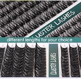 SISILILY Individual Lashes 144 Clusters C D Curl 10-16mm DIY Lashes view 5