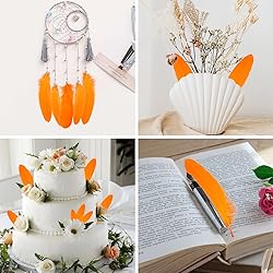 THARAHT 120pcs Orange Goose Feathers Natural Bulk