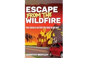 Escape from the Wildfire
