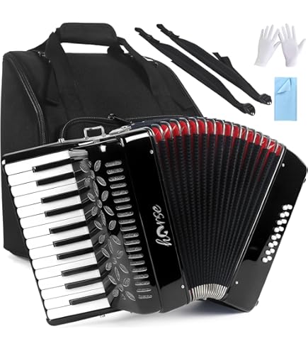 Amazon.com: Roland FR-1X Premium V-Accordion Lite with 26 Piano
