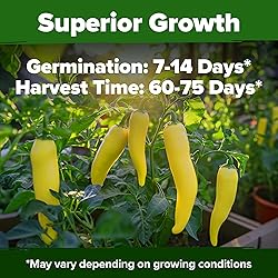 HOME GROWN