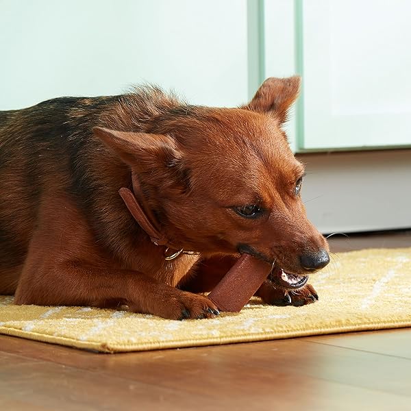 NUTRISH SOUP BONES PREMIUM DOG CHEWS WITH REAL BEEF AND BARLEY, 11 CHEWS, PACKAGING MAY VARY (RACHAEL RAY)