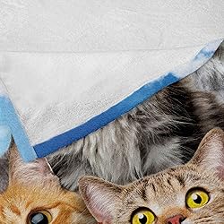 Ambesonne Kitty Throw Blanket, Kitten Cat's