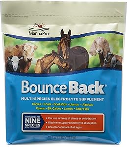 Manna Pro Bounce Back Multi-Species Electrolyte Supplement