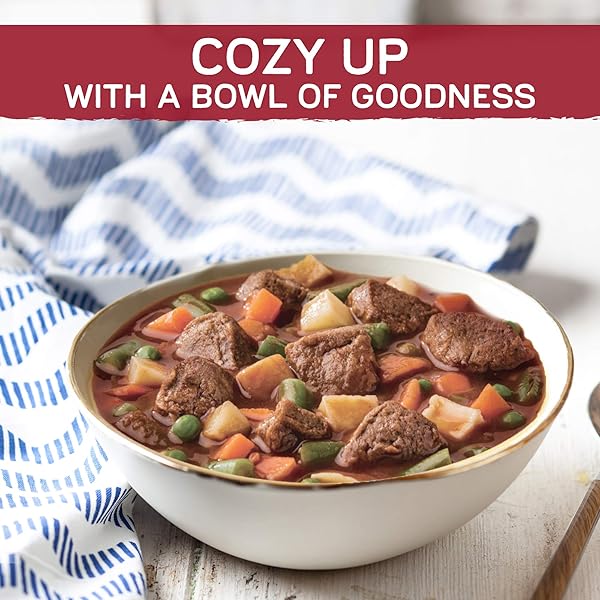 GARDEIN SOUP BEEF COUNTRY VEGETABLE, 15 OZ