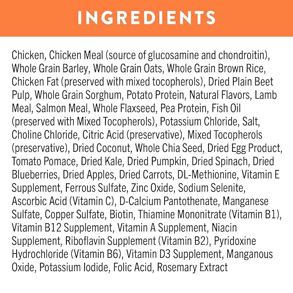 NUTRO ULTRA HIGH PROTEIN NATURAL DRY DOG PUPPY FOOD WITH A TRIO OF PROTEINS FROM CHICKEN LAMB AND SALMON, 4 LB. BAG