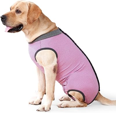HEYWEAN Dog Recovery Suit Spay Bodysuit After Surgery for Dogs