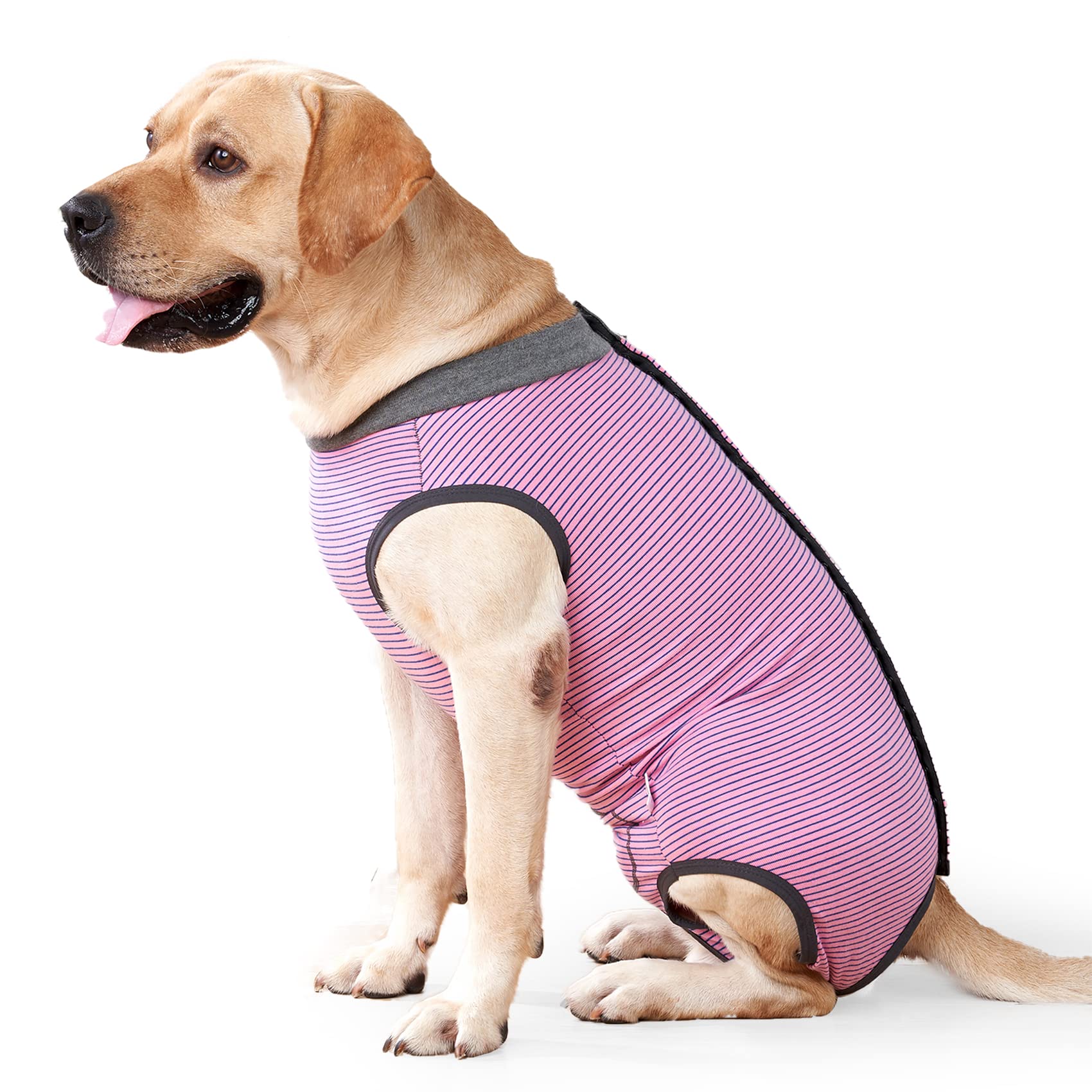 HEYWEAN Dog Recovery Suit Spay Suit for Female Dog Bodysuit After Surgery Dogs Onesie for Surgery Male Dogs Surgical Vest Substitute Recovery Collars