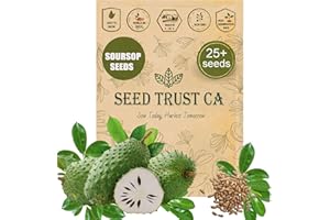 SEED TRUST CA SeedTrust CA Premium Soursop Seeds – 25 Non-GMO Graviola Seeds for Planting – Grow Your Own Soursop Tree, High Germination Rate (Soursop)