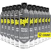 Raid Wasp and Hornet Killer, 17.5 Oz (Pack of 12)