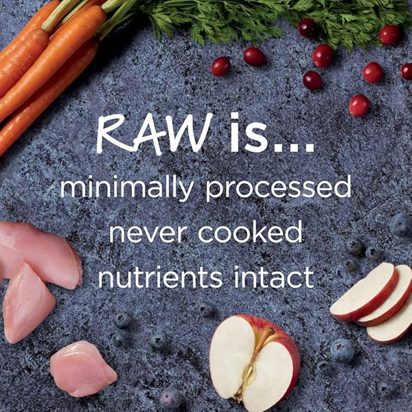 INSTINCT RAW BOOST INDOOR HEALTH, NATURAL DRY CAT FOOD WITH FREEZE DRIED PIECES, GRAIN FREE RECIPE – REAL RABBIT, 4.5 LB. BAG