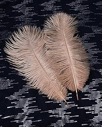 VIJIV Natural Large Ostrich Feathers Bulk 10 Pieces