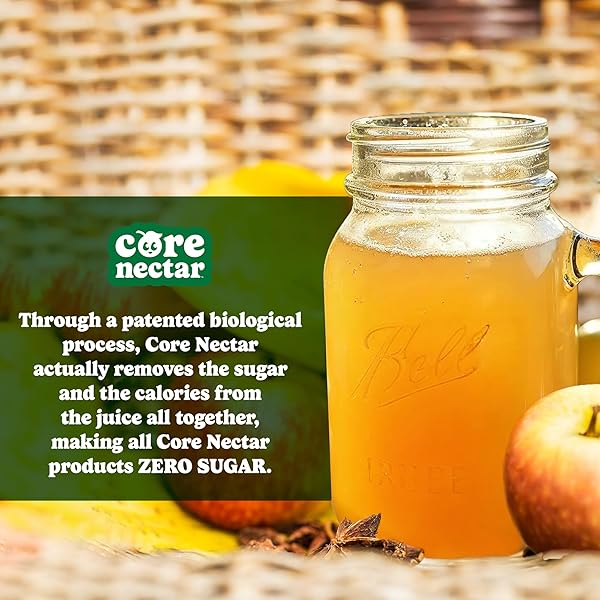 SUGAR FREE APPLE JUICE MADE WITH 100% JUICE; WORLD’S FIRST REAL APPLE JUICE WITH ALL SUGAR REMOVED FROM FRUIT; LIQUID & EASY TO DISSOLVE JUICE PACKS THAT SUPPORTS IMMUNITY & HYDRATION; 10 CT.