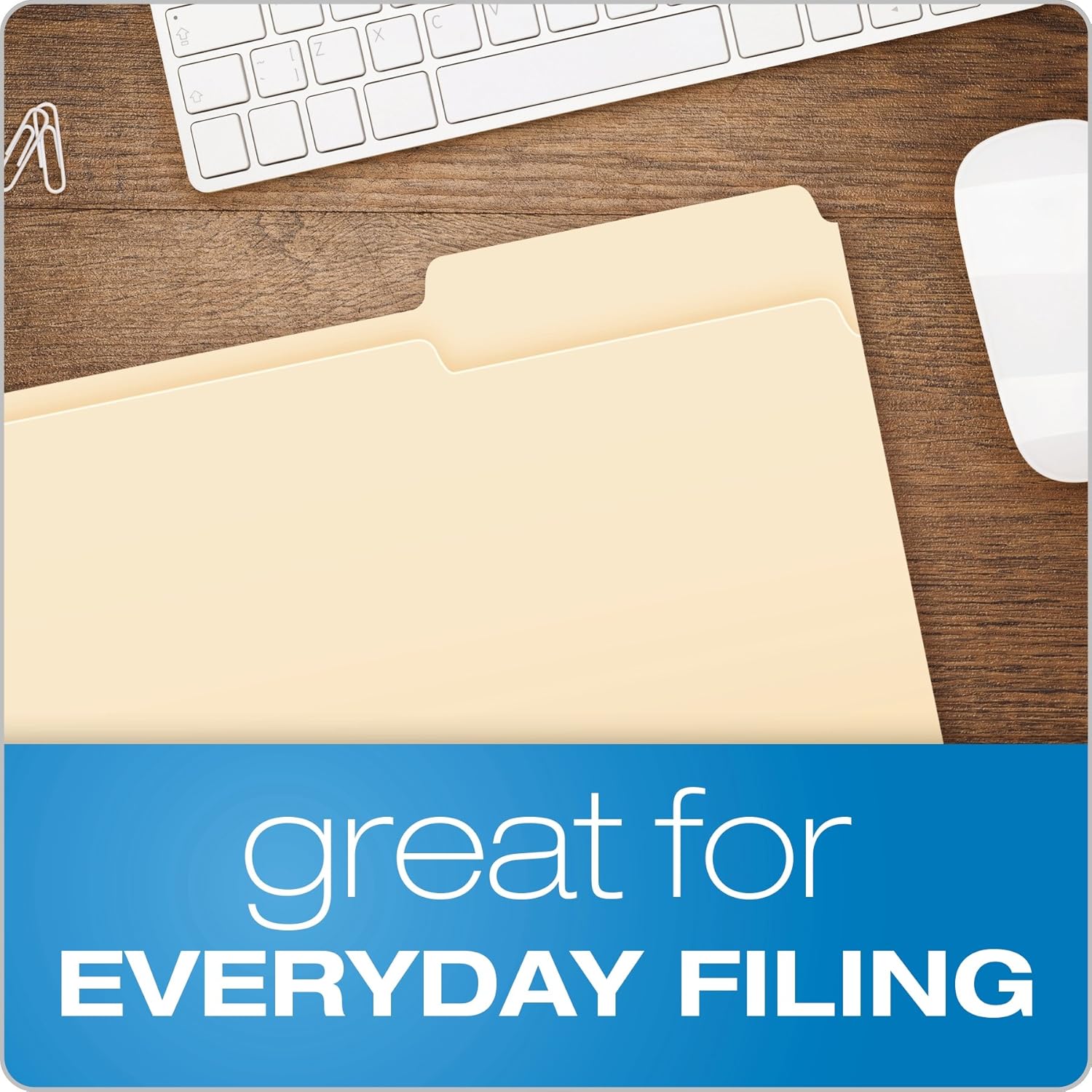 Pendaflex File Folders, Legal Size, Manila, 1/3 Cut, 100/BX (753 1/3) : Office Products