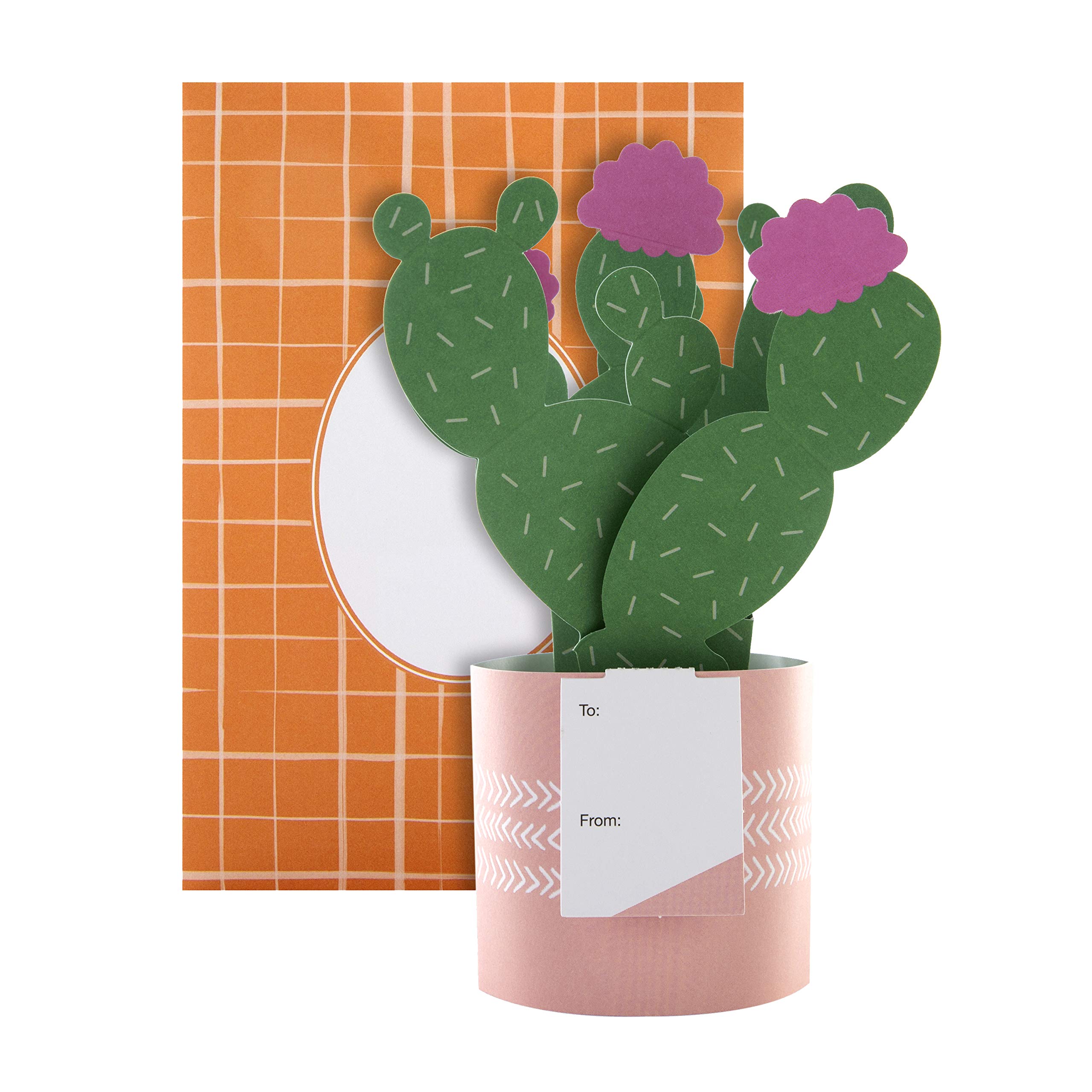 Hallmark Pop Up Card - Contemporary Cactus Design