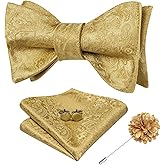 Dubulle Self Tie Bow Ties and Lapel Pin for Men Paisley Solid Mens Bowtie and Handkerchief Cufflinks Set Wedding