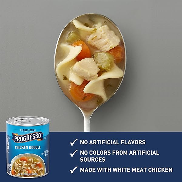 PROGRESSO TRADITIONAL CHICKEN NOODLE CANNED SOUP, 19 OZ