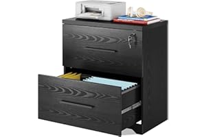 DEVAISE 2-Drawer Wood Lateral File Cabinet with Lock for Office Home, Black